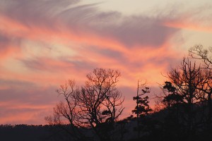 phm24_0130-s