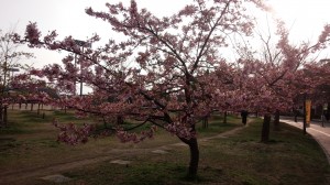 20150313_2