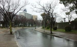 20150313_1