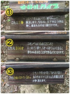 オサルクイズ（答）
