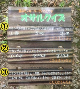 オサルクイズ（問）