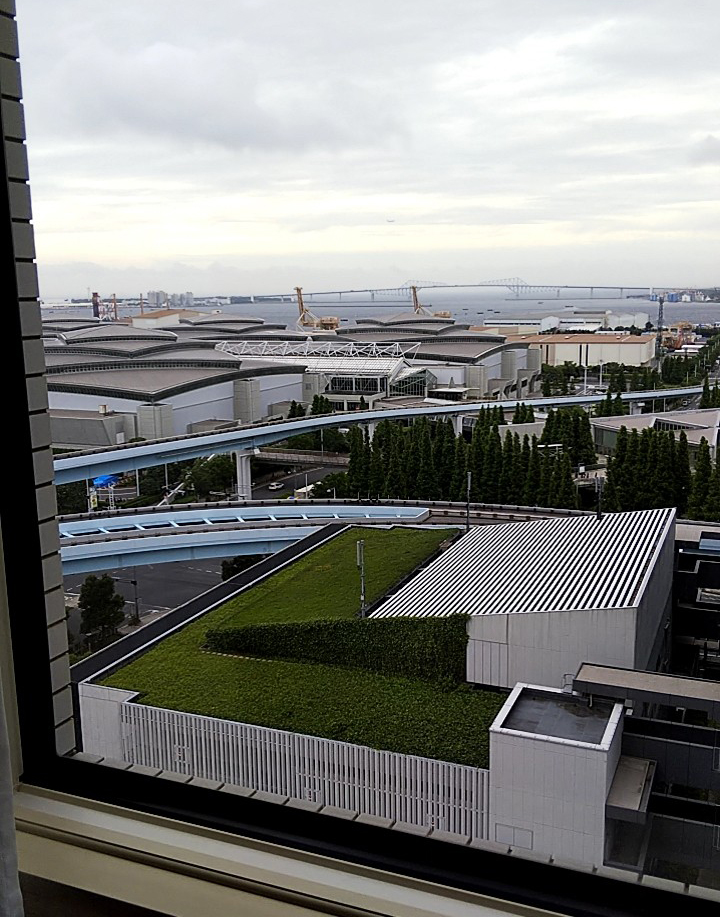 東京に着くと・・曇り空?気にしない!