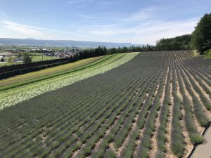 IMG_4228