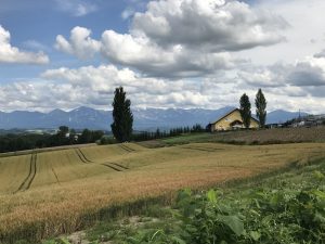 IMG_4354